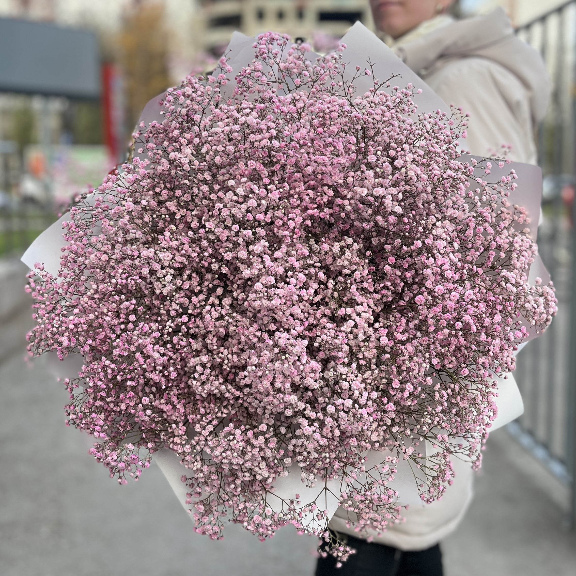 51 розовая гипсофила